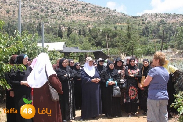 bayareq re7la shamal 0612 (45).JPG